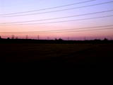 Power Lines (i)